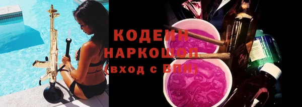 мдпв Гусь-Хрустальный