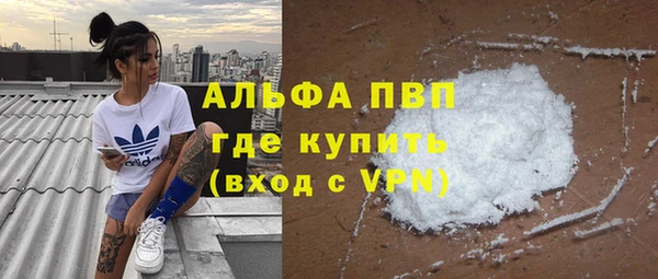 мдпв Гусь-Хрустальный