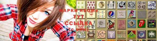 мдпв Гусь-Хрустальный
